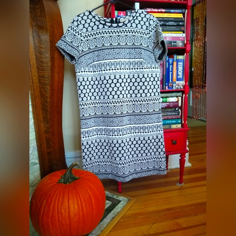 Loft Retro Style Shift Dress